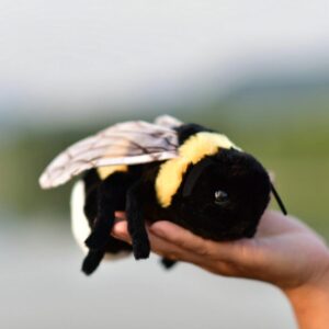 TAMMYFLYFLY Soft Insect Plush Toy, ...