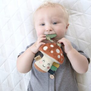 Itzy Ritzy Infant Toy & Teethe...