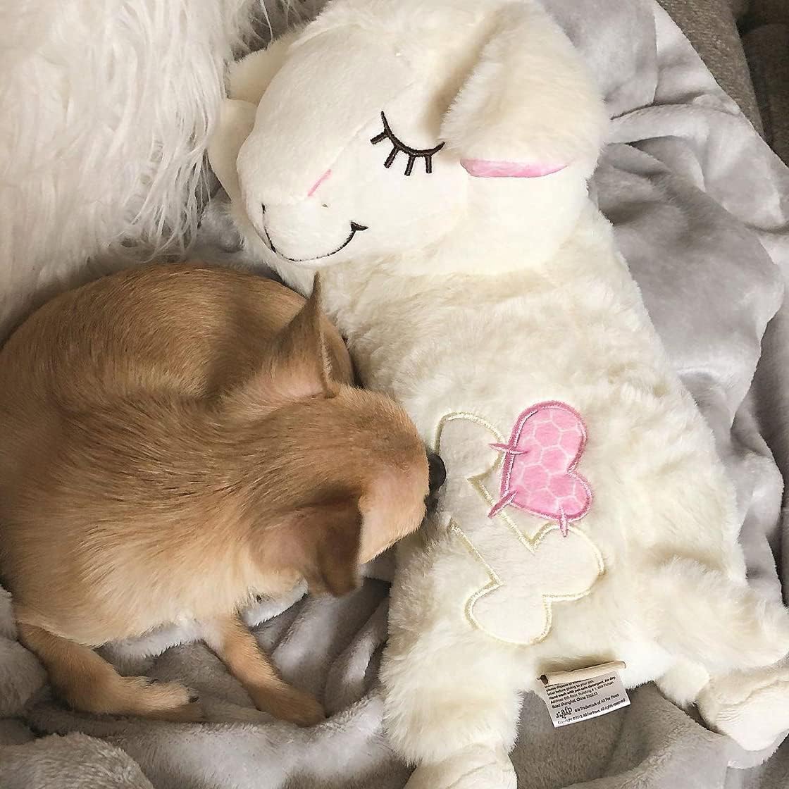 ALL FOR PAWS Heartbeat Replacement Soother Heartbeat Simulator for Puppy Sleep Aid Calming Plush Toys - Image 5