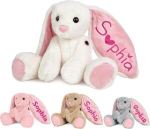 BeneCharm Personalized Bunny Plush ...