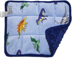 MAXTID Weighted Lap Pad for Kids 5 ...