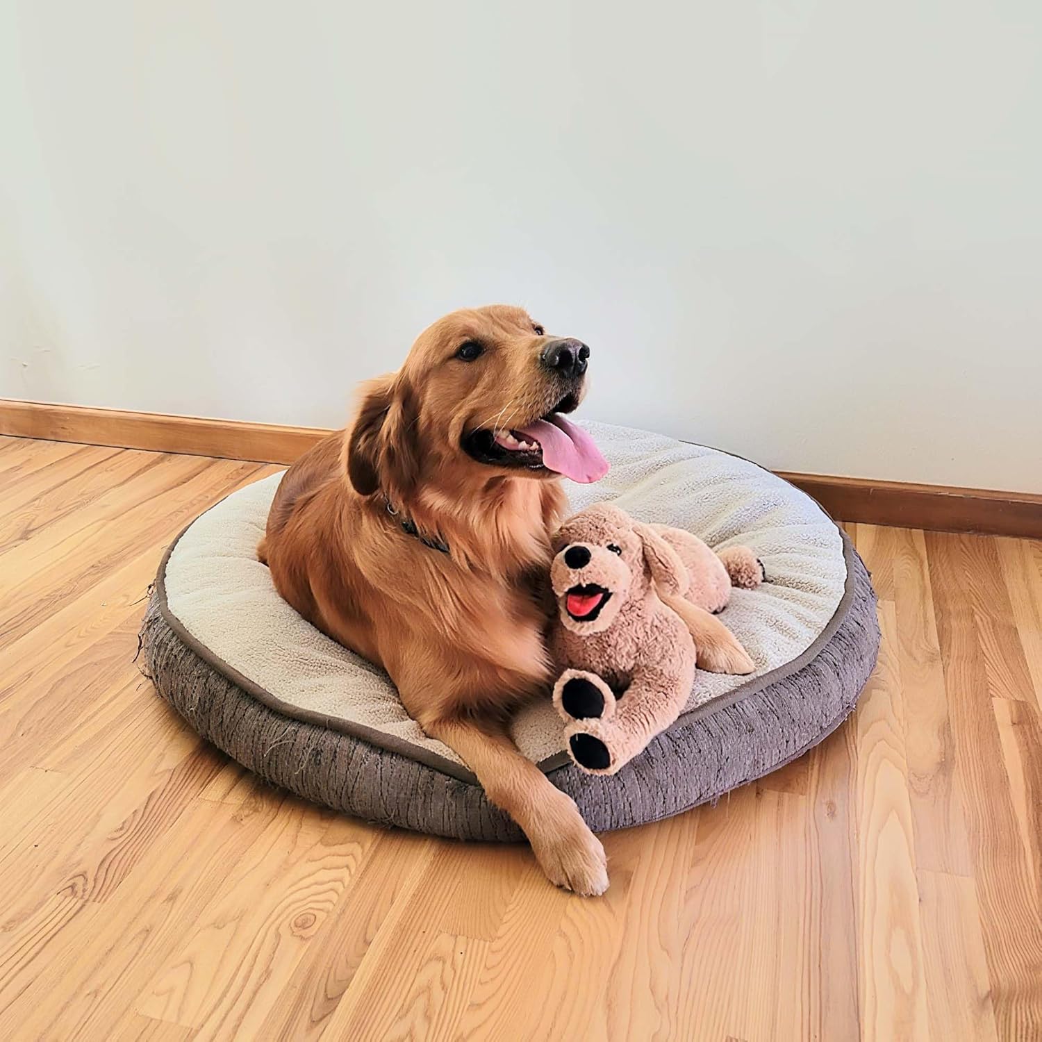 LotFancy Dog Stuffed Animals Plush, 21" Soft Cuddly Golden Retriever Plush Toys, Large Stuffed Dog, Puppy Dog Stuffed Animals, Easter Birthday Gift for Kids Girls Boys - Image 4