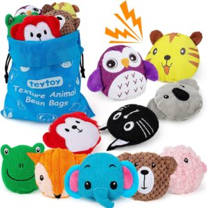 teytoy Sensory Bean Bag for Kids 10...