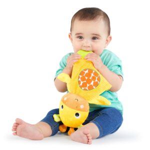 Bright Starts Snuggle & Teethe...