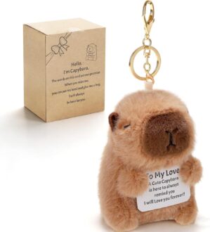 Valentine’s Day Gift Capybara Plu...