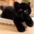 SNOWOLF Weighted Stuffed Animals Cat, Plushies Black Cat, Cat Plush Toy with Himalayan Salt for Warmth & Comfort, Cute Soft Kitten Doll Gift for Boys, Girls, Women, 1.5 LBs