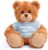 Plushland Teddy Bear 11 Inch, Stuffed Animal Personalized Gift – Great Present for Mothers Day, Valentine, Graduation, Birthday,Anniversary, get Well,Christmas (Mocha Bear, Baby Blue)