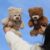 10Inch Teddy Bear Stuffed Animal, Soft Stuffed Teddy Bear Plush Toy, Birthday Xmas Gifts for Kids Baby (Light Brown)