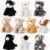 Lenwen 10 Pcs Cat Stuffed Animals Bulk Soft Cuddly Kitten Plush Sets Kittens Assorted Fluffy Stuffed Cats for Kiddos Birthday Gift Pet Party Favors Stuffers(Sitting Style)