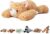 Niuniu Daddy 20″ | 3.3 Pound Weighted Orange Cat Stuffed Animal Plushie for Adults & Kids, Large Weighted Lap Pillow for Comfort, Soft Sensory Stuffy Toy as Gift for Holidays