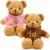 Aoriher 2 Pieces Matching Bear Stuffed Animal Plush Gifts 11.8 Inch Soft Bear with Clothes Bears Plush for Newlyweds Mom Grandma Women Baby Shower Wedding Party Favor