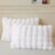 LIFEREVO 2 Pack Fluffy Faux Rabbit Fur Pillow Cases, Luxury Soft Plush Shaggy Bubble Pillowcases Standard Size with Zipper Closure, Furry Fuzzy Long Pillow Shams for Bedroom Living Room 20×26, White