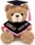 OELTTG 10” Personalized Graduation Teddy Bear Gifts 2026 – Custom Name & Text, Graduation Gift for Her/Him, Kindergarten, High School & College Graduation Plush Bear with Cap & Diploma
