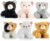PREXTEX Realistic Looking Small Cat Stuffed Animal – 6 inch Stuffed Kittens with Lifelike Details – Plush Cat Set for Kids, Pet Toys, Home Decor, or Cat Lady Costume – Soft and Huggable – 6 Pack